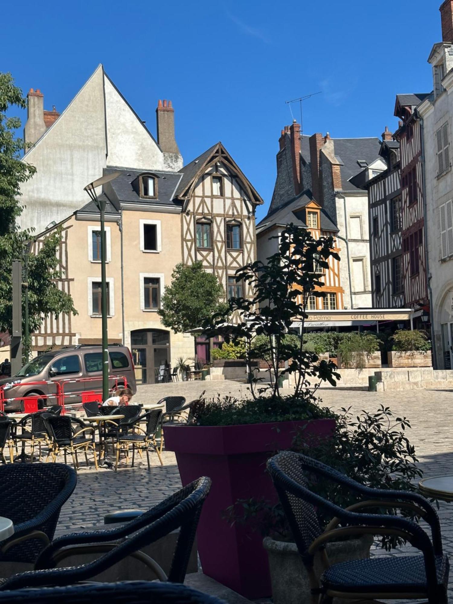 Magnifique - Hypercentre Ancien Pieton - Wifi - Acces Autonome Orleans